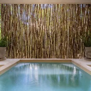  Ferienhaus Casa Cenote Private Pool Gated